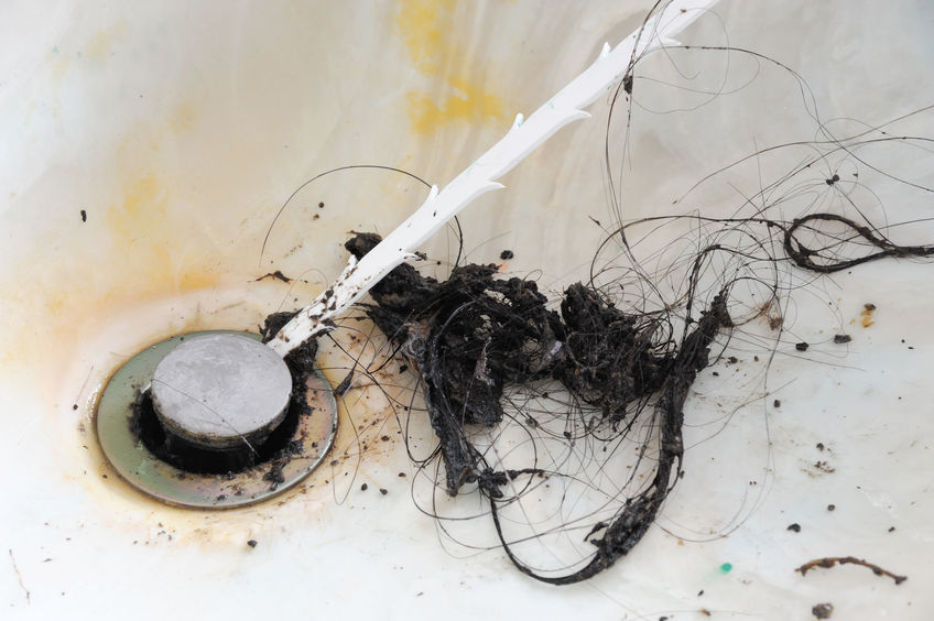 How Often Should You Schedule a Drain Cleaning?